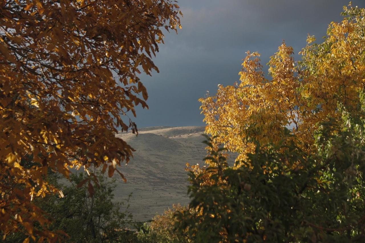 Zove BnB with garden views K'arashamb Buitenkant foto