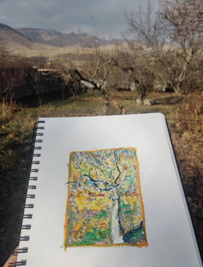 Zove BnB with garden views K'arashamb Buitenkant foto