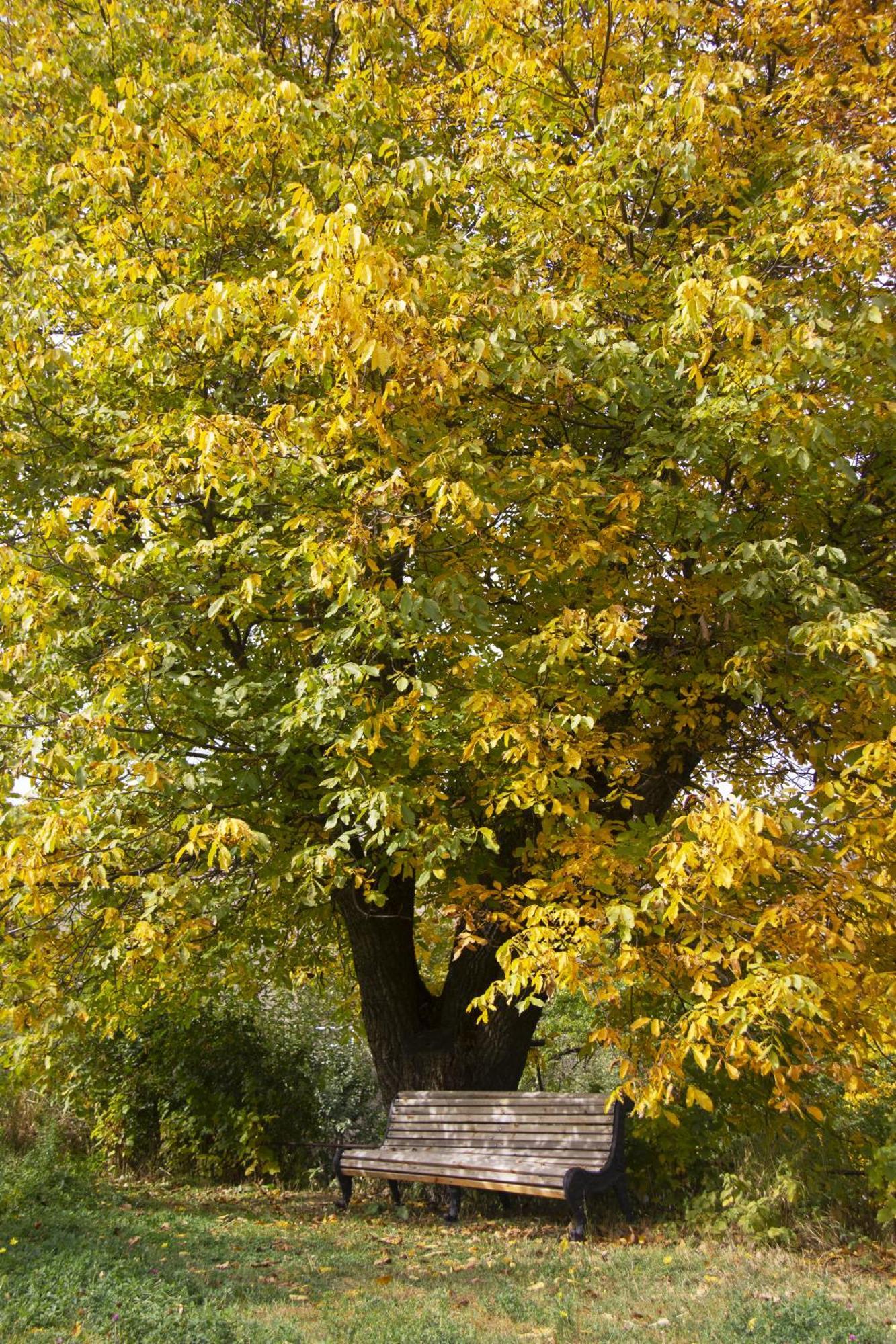 Zove BnB with garden views K'arashamb Buitenkant foto
